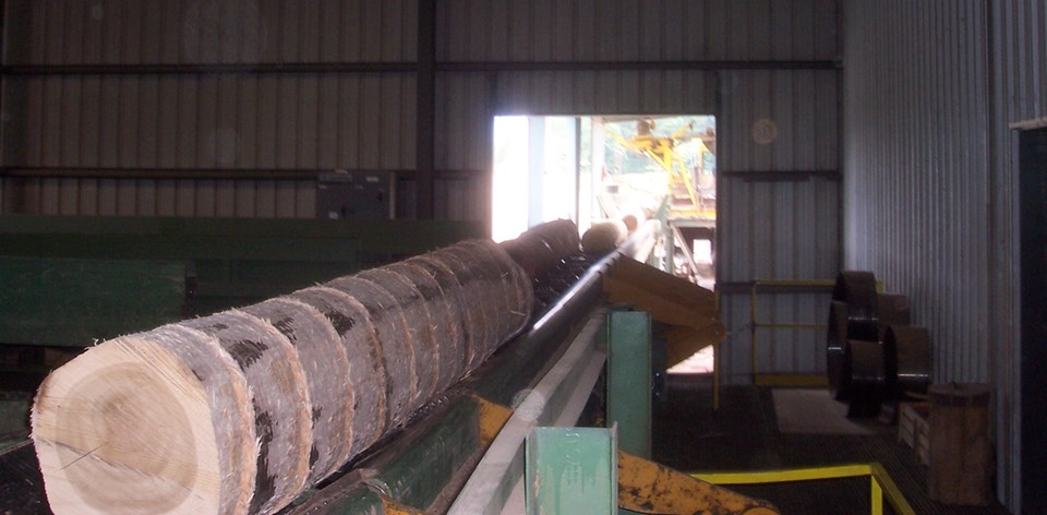 Log in mill